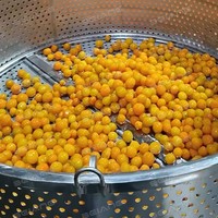 Voedselveilige roestvrijstalen vacuüm suikerdompelinrichting, energiebesparend voor fruitverwerkingslijnen