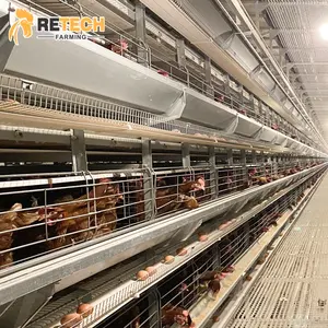 H Type Chicken Cage Suppliers Layer Battery Poultry Equipment