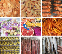 Roestvrij Staal 24 Trays Elektrische Verwarming Voedsel Fruit Groente Droger Dehydrator