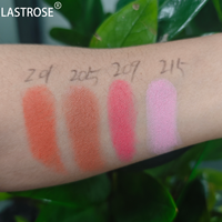Palette de fards à joues cosmétiques pour le visage, haute pigmentation, vegan, poudre mate, fard à joues mat, étiquette privée, fard à joues rose vegan, résistant à l'eau