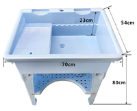 Évier utilitaire industriel moderne en plastique, résistant aux chocs, en PP, facile à nettoyer, convient aux salles de bain et aux hôtels, avec drain, capacité 12L