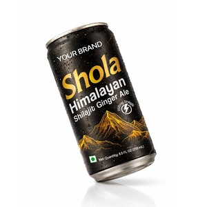 Bebida Natural Carbonatada Shola Shilajit con Resina de Shilajit, en Botellas Selladas para Refresco Diario - Product Image 2