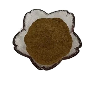 Bán buôn hữu cơ tự nhiên Gừng đen chiết xuất bột tinh khiết gừng đen chiết xuất từ rễ - Product Image 2