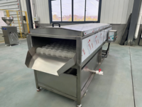 Volledig automatische productielijn voor gevriesdroogde appels van roestvrij staal 304, inclusief schillen, wassen en lyofiliseren, fruitverwerkingsfabriek