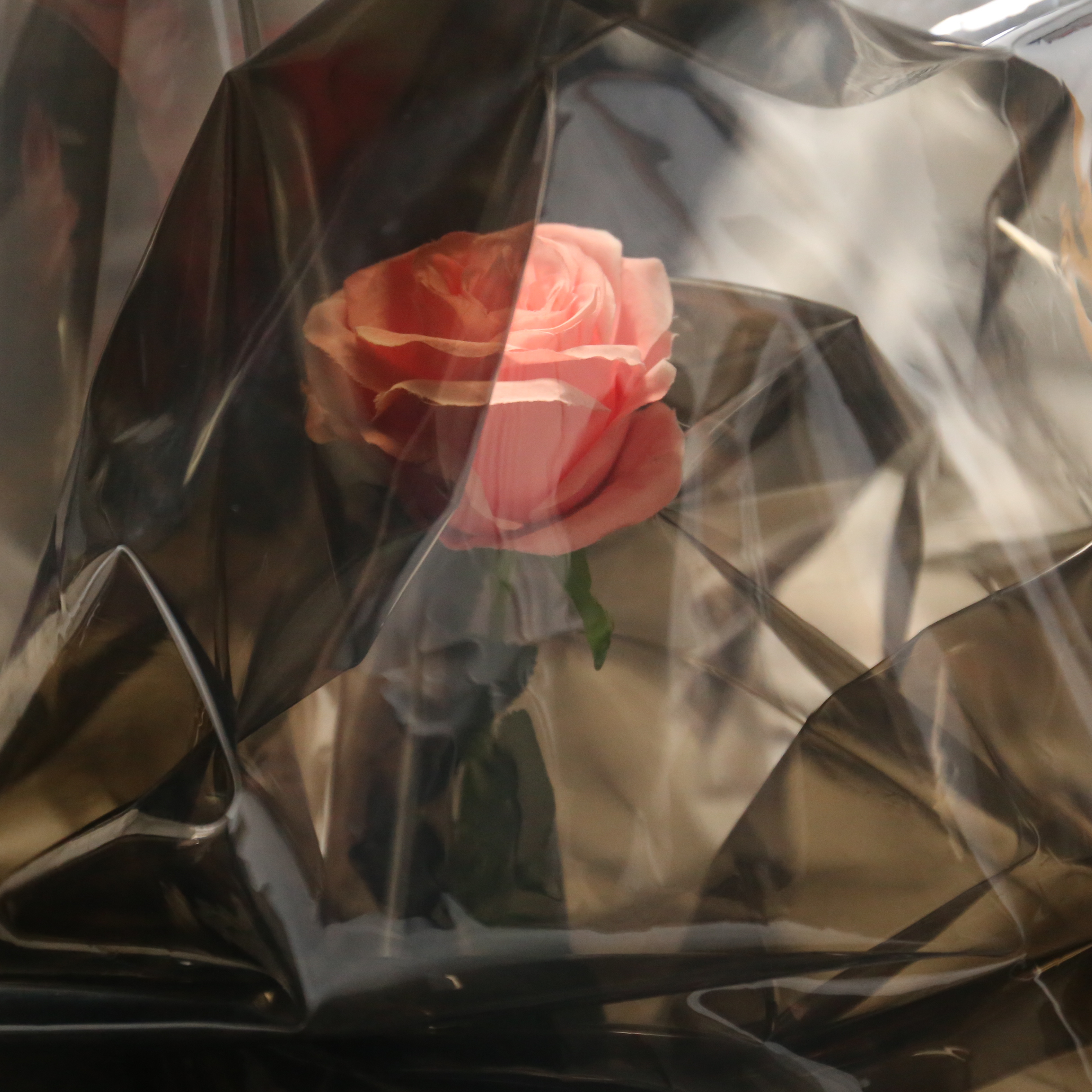 Матовая черная пленка из ТПУ для одежды и дождевика, приятная для кожи Водонепроницаемая мягкая