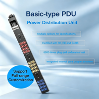 PDU rack 63A 24 prises C13 avec protection intégrée contre les surcharges