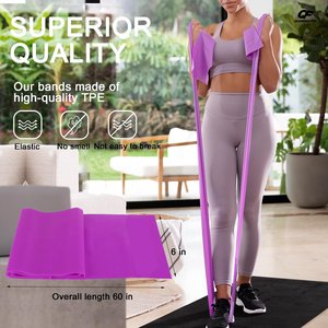 Bandas de resistencia elásticas portátiles para gimnasio, culturismo, pilates, yoga, rehabilitación y entrenamiento de fuerza - Product Image 1