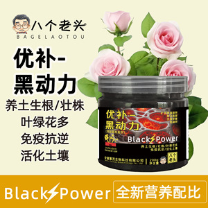 Activateur de sol Black Power Eight Old Men 200g – Nourrit le sol, favorise la croissance des racines pour les fleurs et les plantes vertes - Product Image 4