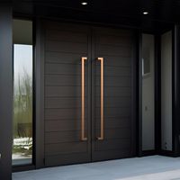 Porte extérieure en alliage d'aluminium Ertance, anti-effraction, style occidental moderne, noir mat, résistante aux hautes températures, couleur personnalisable