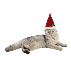 Chapeau de Noël doux et écologique pour animaux de compagnie, motif Père Noël rouge uni, pour chats et chiens, chaud, vente <span class=keywords><strong>en</strong></span> gros du fabricant - Product Image 6