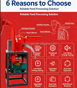 Precio de Fábrica <span class=keywords><strong>BEDO</strong></span> Nueva Máquina de Pellets de Acero para Alimentación Animal, Capacidad 200kg/h, Motor Diésel, Tamaño de Pellets 2-12mm, Control Preciso de Temperatura - Product Image 4