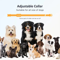 Patpet Bestes Hundetrainingshalsband Elektrisches Wiederaufladbares Hundehalsband mit Sicherer Fernbedienung Pieper Vibration Trainingsmodi Schockstufen