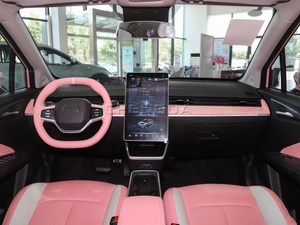 Neta V Lite Versión Chao 2022, Auto Eléctrico con 401 km de Autonomía - Product Image 2