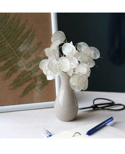 Fleur séchée naturelle Lunaria pour la décoration intérieure - Product Image 2