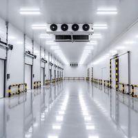 Installation de stockage frigorifique industrielle pour la logistique de la chaîne du froid de la transformation alimentaire, projets à grande échelle, chambre froide de plain-pied