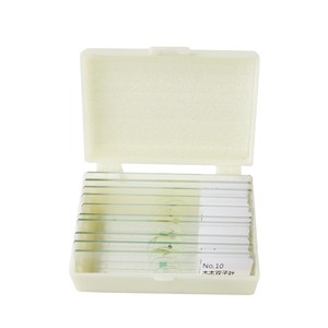10 types de lamelles de microscope biologique et kit d'accessoires pour microscope : structures de lamelles typiques et échantillons - Product Image 1
