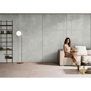 Herican Grey <b>Brushed</b> Polished Finish 1600x3200x20mm Sintered Stone Porcelain Slab Tiles for Outdoor Walls Road Staircase Garden - Product Image 1