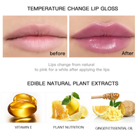 Gloss à lèvres miniature hydratant changeant de couleur Pudaier, vente en gros, gloss à lèvres miniature pailleté, fournisseur de gloss à lèvres miniature, marque privée, gloss à lèvres transparent