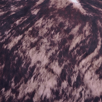 Echtes Lederfell-Teppich aus Rindsleder, Natürlicher Kuhfell-Teppich, Rutschfest, Geflochten, Niedrigflorig, Haustierfreundlich, für Wohnzimmer und Esszimmer