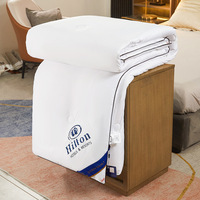 Couvre-lit matelassé couette intelligente, couette directe d'usine pour la maison, couette brodée 100% coton