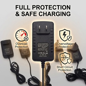 12V 1A AC Adapter Universal Switching Power Supply for <strong>Audio</strong> Equipment Smart Home Device Customizable DC Tip - Product Image 4