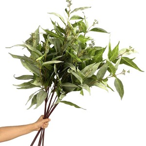 Rama <span class=keywords><strong>de</strong></span> <span class=keywords><strong>Eucalipto</strong></span> Artificial <span class=keywords><strong>de</strong></span> 97 cm con <span class=keywords><strong>Semillas</strong></span>, Follaje Artificial para Decoración <span class=keywords><strong>de</strong></span> Bodas, Hogar, Hotel y Eventos - Product Image 5