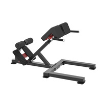Chaise romaine en acier commercial équipement de gymnastique banc d'extension arrière musculation chaise romaine