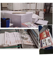 Impresora de Etiquetas de Códigos de Barras Térmica Directa de Calidad Premium, Etiqueta de Envío, Etiqueta Adhesiva de Papel Térmico A6