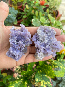 Carved Raw Druzy Grape Agate <b>Cluster</b> Set of 2 | Natural Purple Botryoidal <b>Crystal</b> Specimens for Display & Collector Collections - Product Image 4