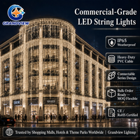 Guirlandes lumineuses LED personnalisées de 10 m, 20 m, 30 m, 50 m, 100 m, lumières décoratives commerciales pour les centres commerciaux, les places, les projets hôteliers, les présentoirs