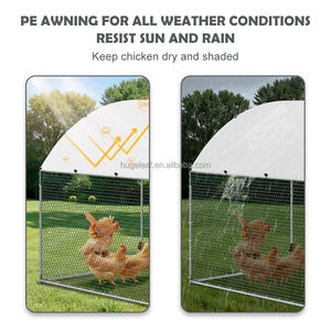 Outdoor Walk-in Dome Roof Large Galvanized Metal Chicken <strong>Run</strong> Enclosure with Entrance for Poultry - Product Image 6