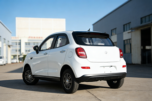 Vehículo Eléctrico <span class=keywords><strong>de</strong></span> 3600w 72v para Personas Mayores, Sin Necesidad <span class=keywords><strong>de</strong></span> <span class=keywords><strong>Licencia</strong></span> <span class=keywords><strong>de</strong></span> <span class=keywords><strong>Conducir</strong></span>, con Logotipo y Color Personalizados, para Movilidad en Zonas Rurales - Product Image 3