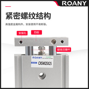 Cylindre à double tige Roany Cxsm25x25, équipement pneumatique en aluminium à double action - Product Image 2