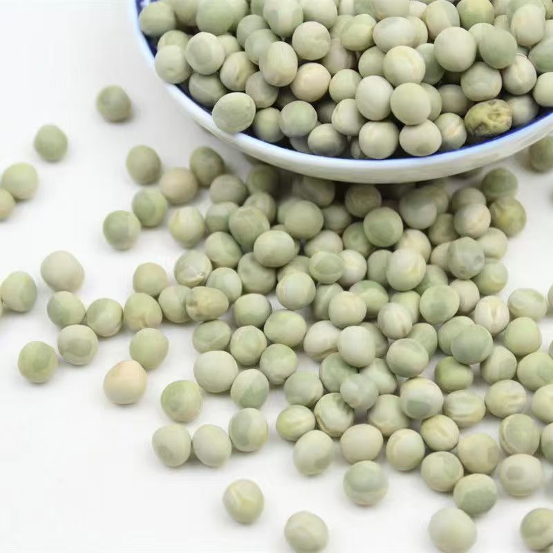 Premium Freeze Dried Vegetable Drink Ready