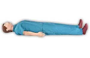 Maniquí de Entrenamiento de RCP para la Enseñanza en Escuelas de Medicina, Modelo de Cuerpo de PVC para Entrenamiento de Primeros Auxilios Yulin YL05011-810A, Traje Azul, 16 kg - Product Image 4