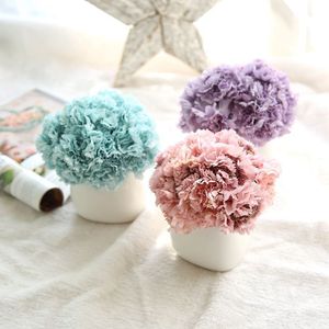 Offre Spéciale Cadeau <span class=keywords><strong>de</strong></span> Fête Des Mères En Soie Artificielle Fleurs D'oeillets Pour décor - Product Image 3