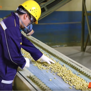 Độ tinh khiết cao v2o5 vanadi pentoxide chất xúc tác Dioxin loại bỏ SCR chất xúc tác cho nox - Product Image 1