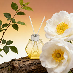 Flacons diffuseurs en verre transparent de haute qualité avec bouchon argenté, options multicolores, rechargeables, 100 ml, flacons de distribution vides pour parfum - Product Image 3