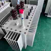 Transformateur immergé dans l'huile haute capacité 400kVA 3 phases 220V entrée et 440V sortie 15kV forme de bobine de puissance et de redresseur
