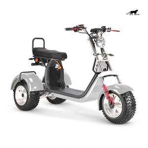 Tricycle électrique et solaire à écran LCD de 60V, 10 pouces, <span class=keywords><strong>125cc</strong></span>, moto à <span class=keywords><strong>3</strong></span> <span class=keywords><strong>roues</strong></span>, <span class=keywords><strong>scooter</strong></span> à <span class=keywords><strong>3</strong></span> <span class=keywords><strong>roues</strong></span>, 2000W, vente à chaud - Product Image 4