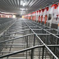 Cage de gestation pour truies, cage de mise bas pour truies, cage de gestation à colonne galvanisée à chaud pour élevage porcin, équipement d'élevage
