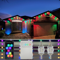 Twinklight Light Cabochon LED pour éclairage extérieur permanent 48V Design parfait pour les décorations de vacances et d'événements