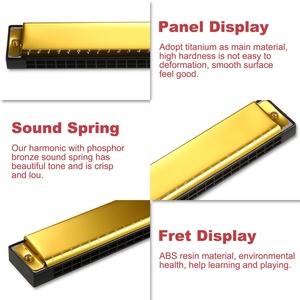 Armónica Arpa profesional Armonica Clave de C 24 agujeros Polifonía Diatónica Boca Órgano con estuche - Product Image 5