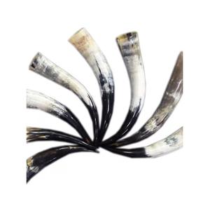 ผู้จัดจำหน่ายจากอินเดีย แก้วน้ำเขาสัตว์แบบดั้งเดิมสไตล์นอร์ดิก ผลิตด้วยมือจากเขาสัตว์ธรรมชาติ สำหรับงานเลี้ยง จำหน่ายในปริมาณมาก - Product Image 1