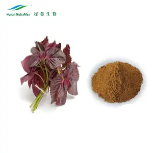 Perilla Frutescens Ekstrak Bubuk Clary Sage Ekstrak dengan 98% Sclareolide/Sclareol, Asam Ursolic, Minyak Sage