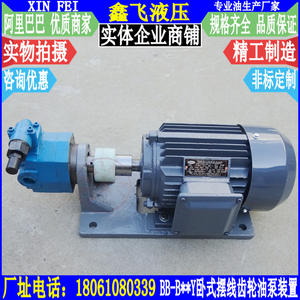 Motor de Unidad de Bombeo de Campo Petrolífero con Engranaje Cicloidal de Ajuste de Presión Horizontal WBZ-BB-B16Y B20Y B25Y B32Y YJZ - Product Image 1