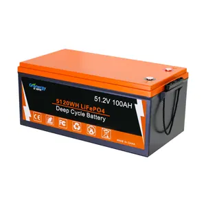 APP wartungsfreie 48 V-Batteriezelle Lifepo4 48 V 20 Ah 50 Ah 100 Ah mit 6000+ Zyklen Lifepo4 Lithium-Ionen-Batterie Solarstromversorgung