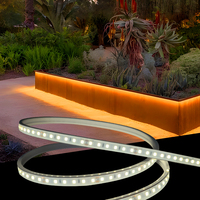Bande lumineuse LED flexible en silicone ultra-mince, découpable, personnalisable, DC 24V, IP66, étanche, pour jardins extérieurs, LFB1004-5