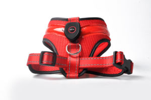 Venta al por mayor de arnés de nailon con luz LED para perros, chaleco con Collar para mascotas intermitente, reflectante, acolchado, para perros, PVC, hebillas de plástico, cinta pequeña y grande - Product Image 4