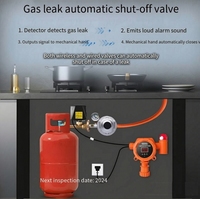 Détecteur de gaz sans fil AC 220V 433MHz avec raccord de vanne, alarme de gaz GPL/méthane pour cuisine commerciale avec affichage numérique